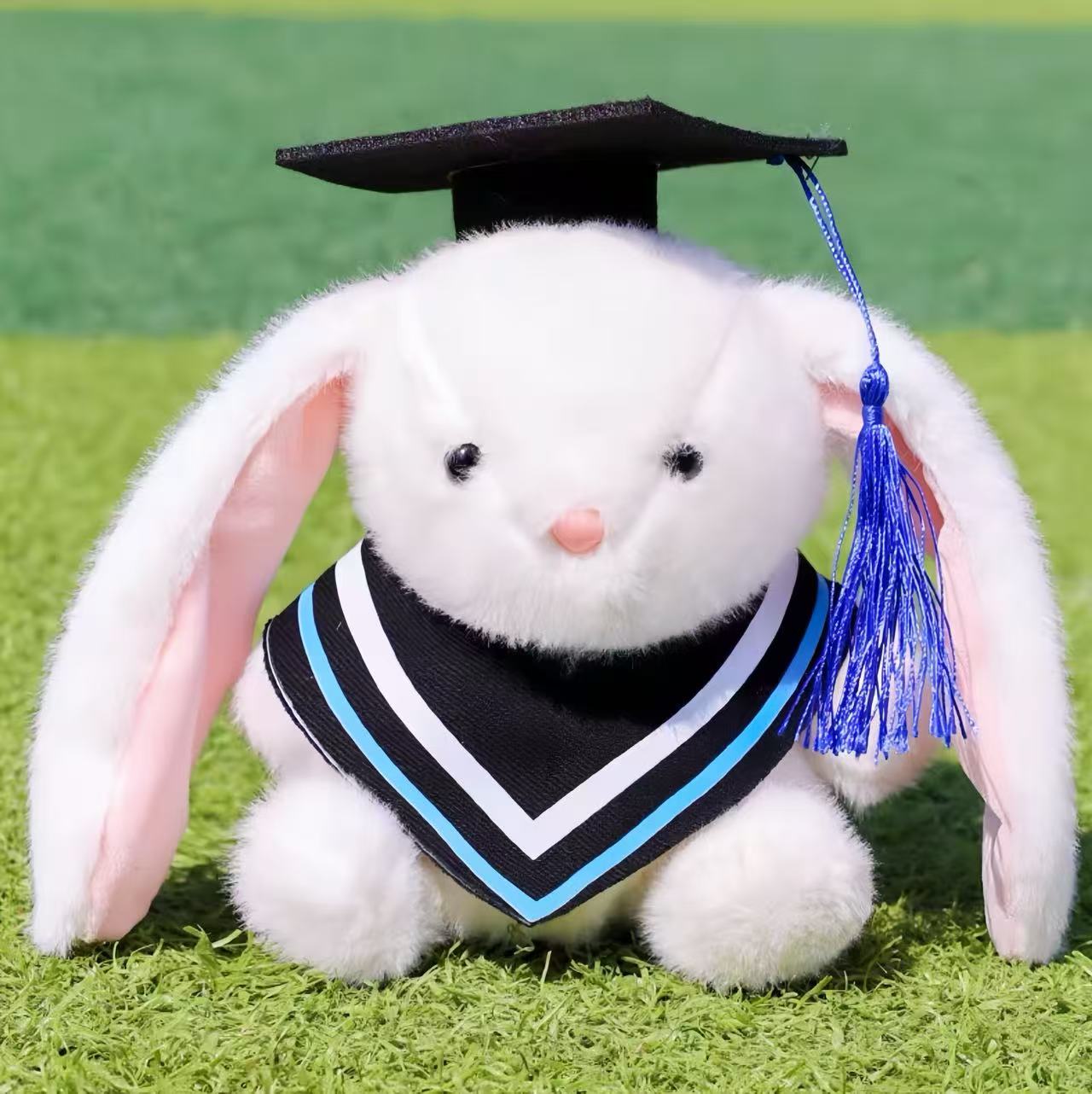 Graduate Rabbit