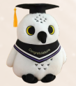 Graduate Owl