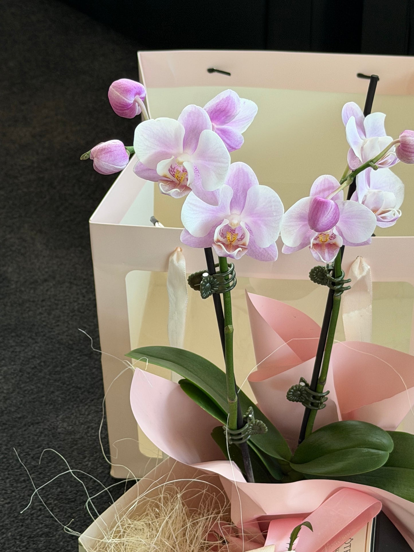 Orchid Gift Box