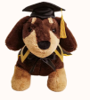 Graduate Dachshund