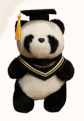 Graduate Panda