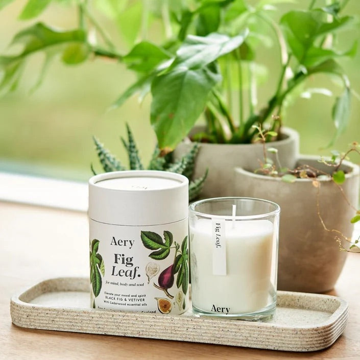 Botanical 200g Soy Candle - Fig Leaf