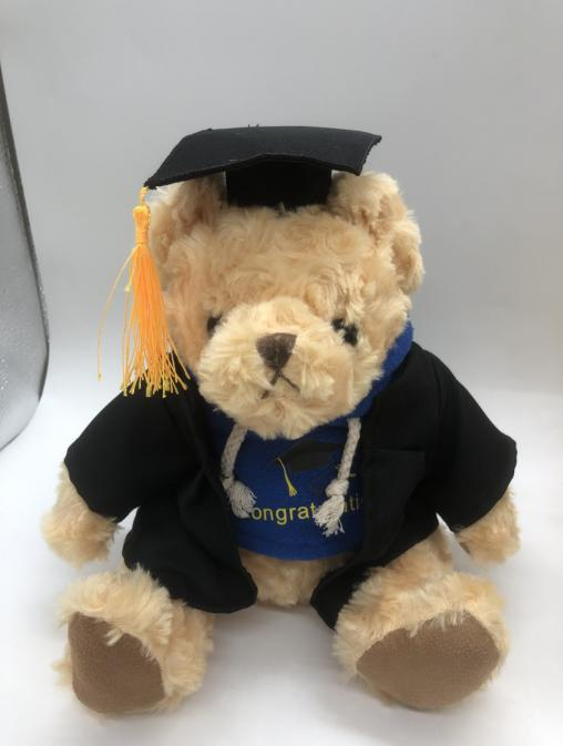Teddy Bear(with gown)