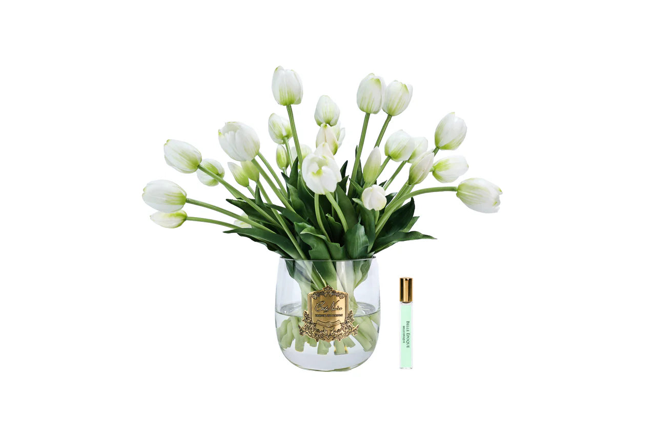 Cote Noire Heritage Tulips -White Tulips