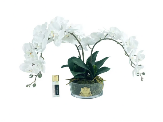 Cote Noire Scented White Orchid Bouquet - CHARENTE ROSE & BLACK ORCHID