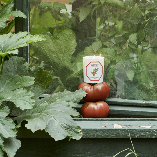 Tomato candle