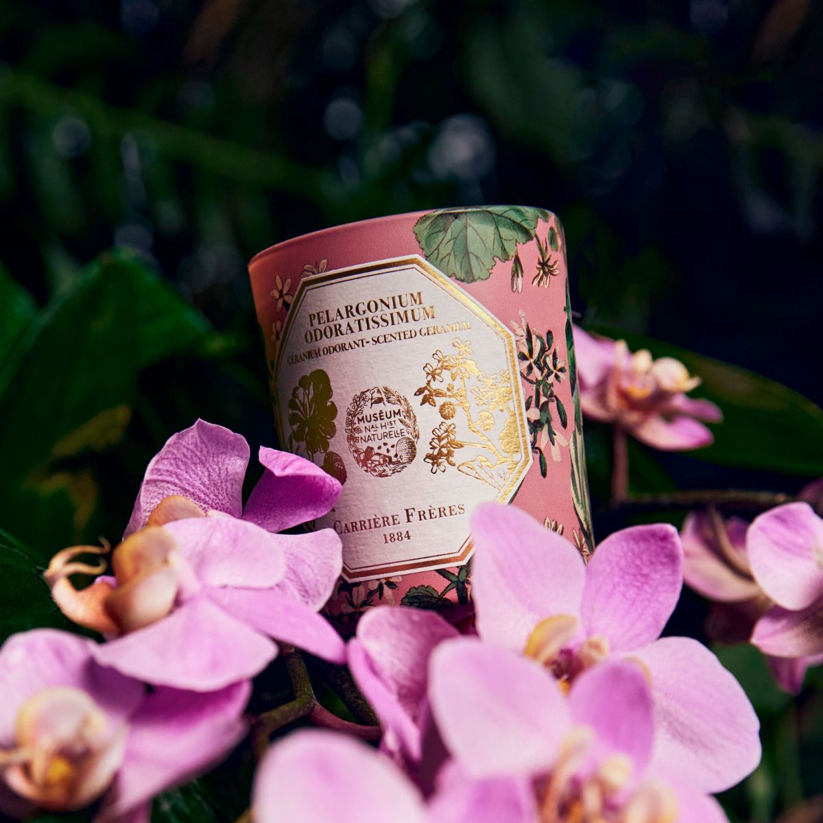 Gift Geranium Geranium Candle – For You Gift Store | Sydney Zetland Florist | Same ...