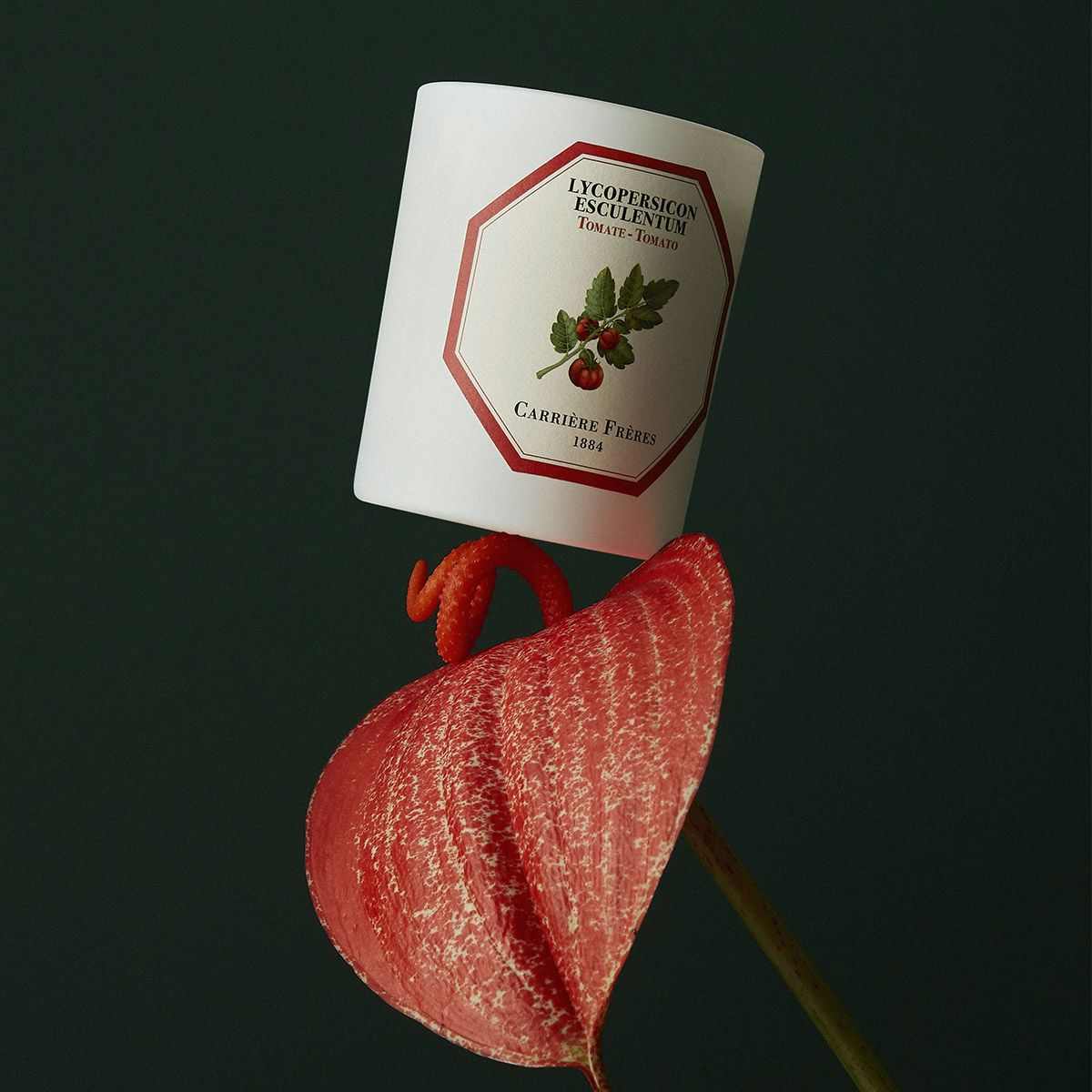 Carrière Frères Tomato Candle