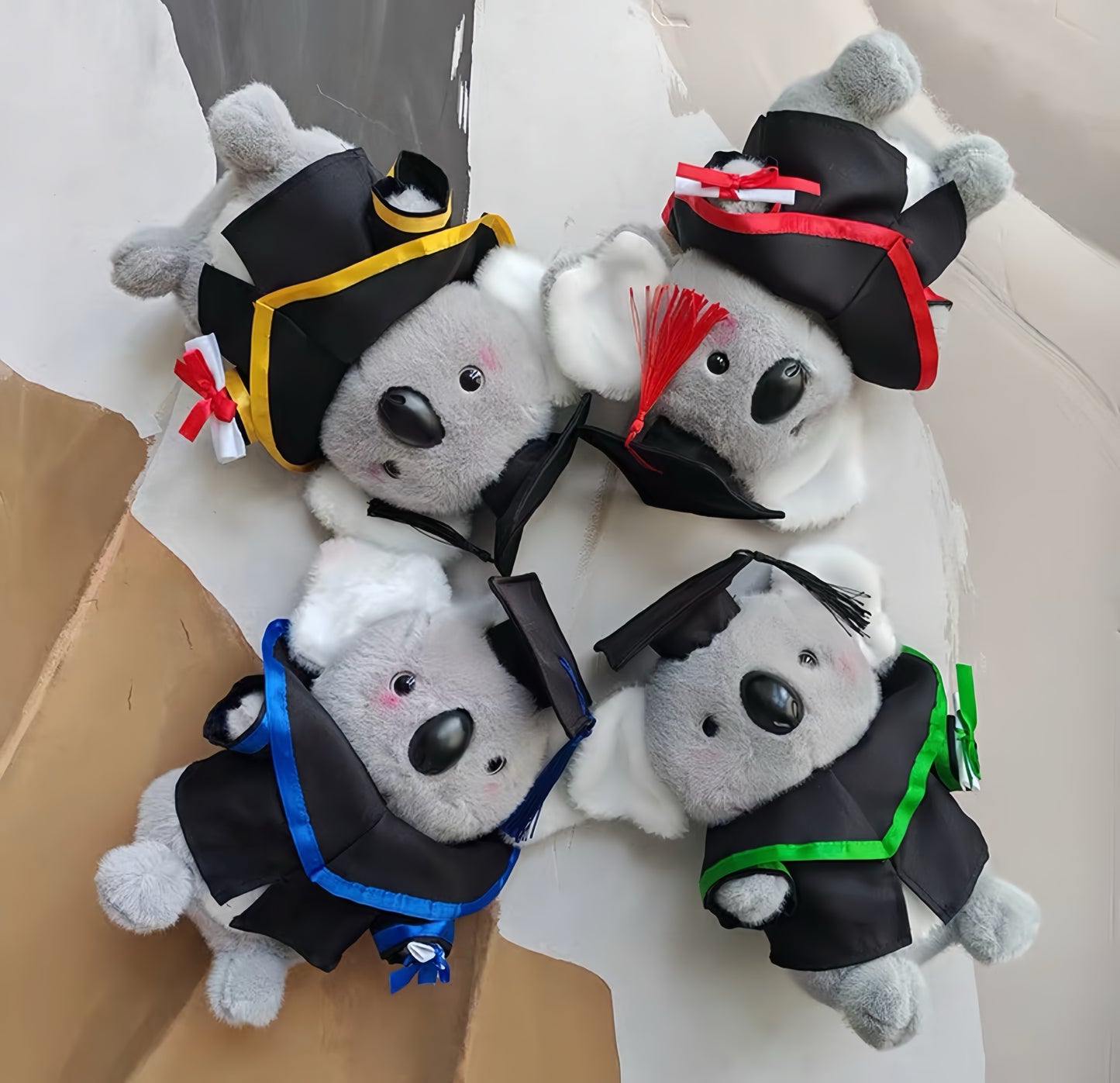 Graduate Koala