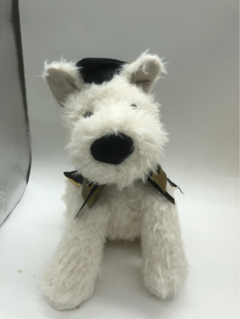 Graduate Puppy(Scottishterrier)