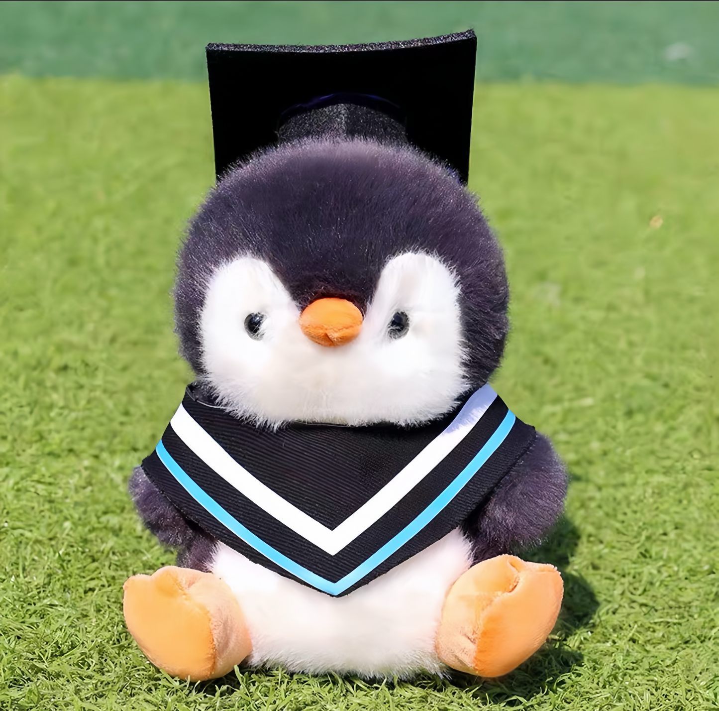 Graduate Penguin